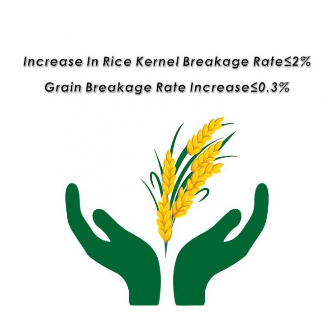 Tower Paddy Dryer untuk pengeringan beras jagung dan biji-bijian lainnya 5HPX-15 9.95kw Total Dimensi 2500*4320*10200m 2