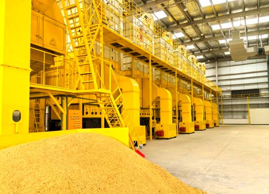 Harga bagus 100 Ton Mesin Pengering Jagung Gandum Semua Arah Pengeringan on line